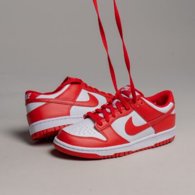Nike Dunk Low BG FB9109-119