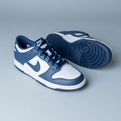 Nike Dunk Low BG FB9109-116