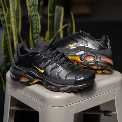 Nike Air Max Plus Prm Chrome IF4390-001